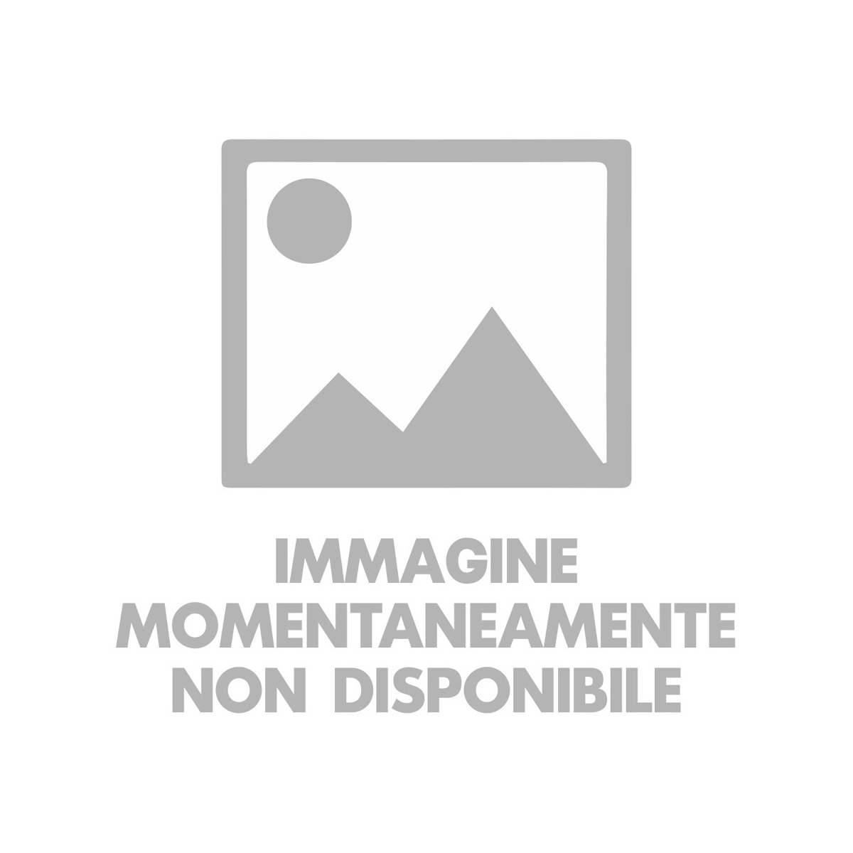 TORINO FC